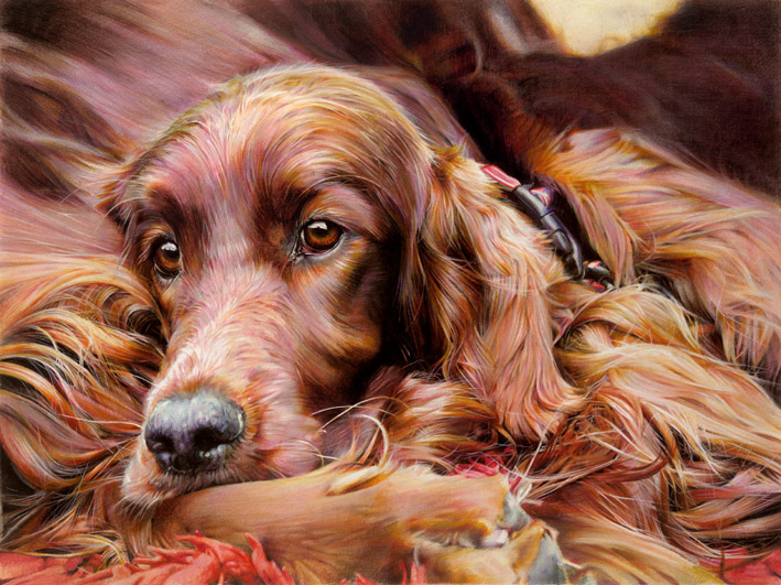 Irish store setter painting